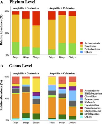 Impact of Early Empiric Antibiotic Regimens on the Gut Microbiota in Very Low Birth Weight Preterm Infants: An Observational Study